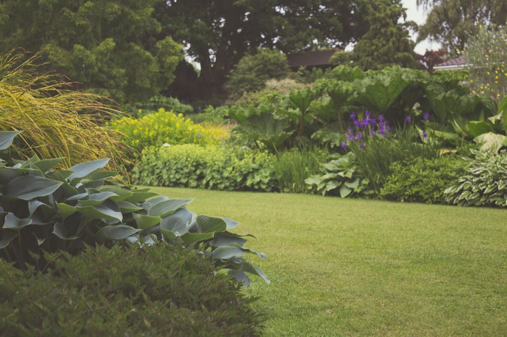 Jardin terminé : massifs fleuris et pelouse