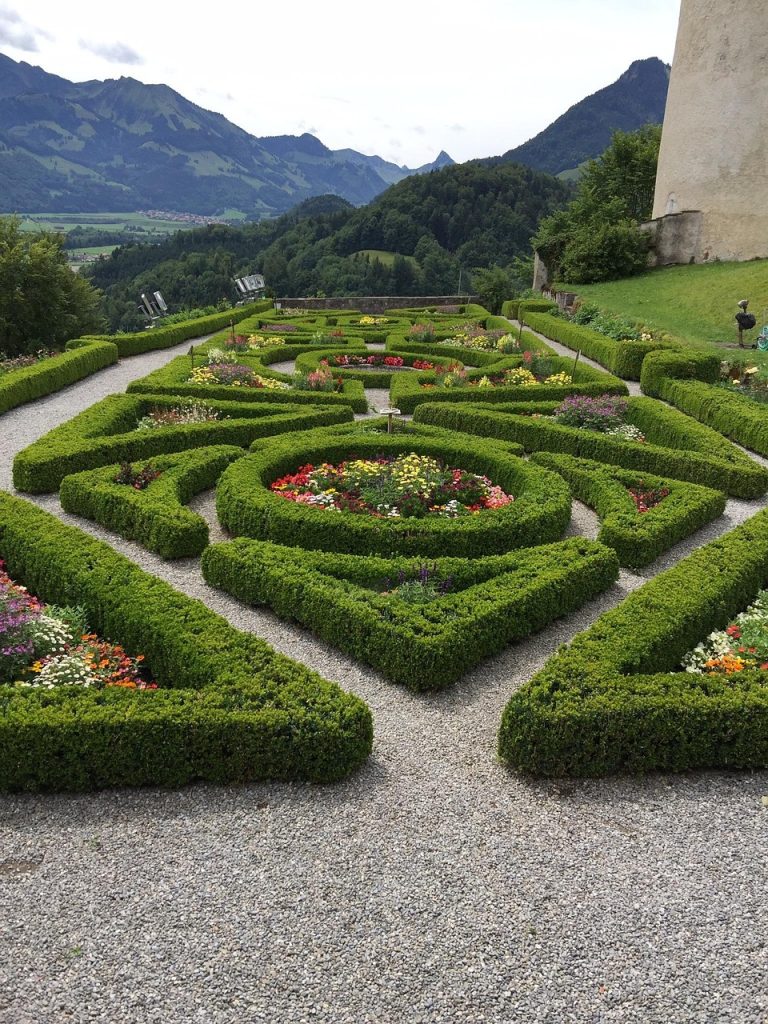 Haies taillées et topiaires dans un jardin