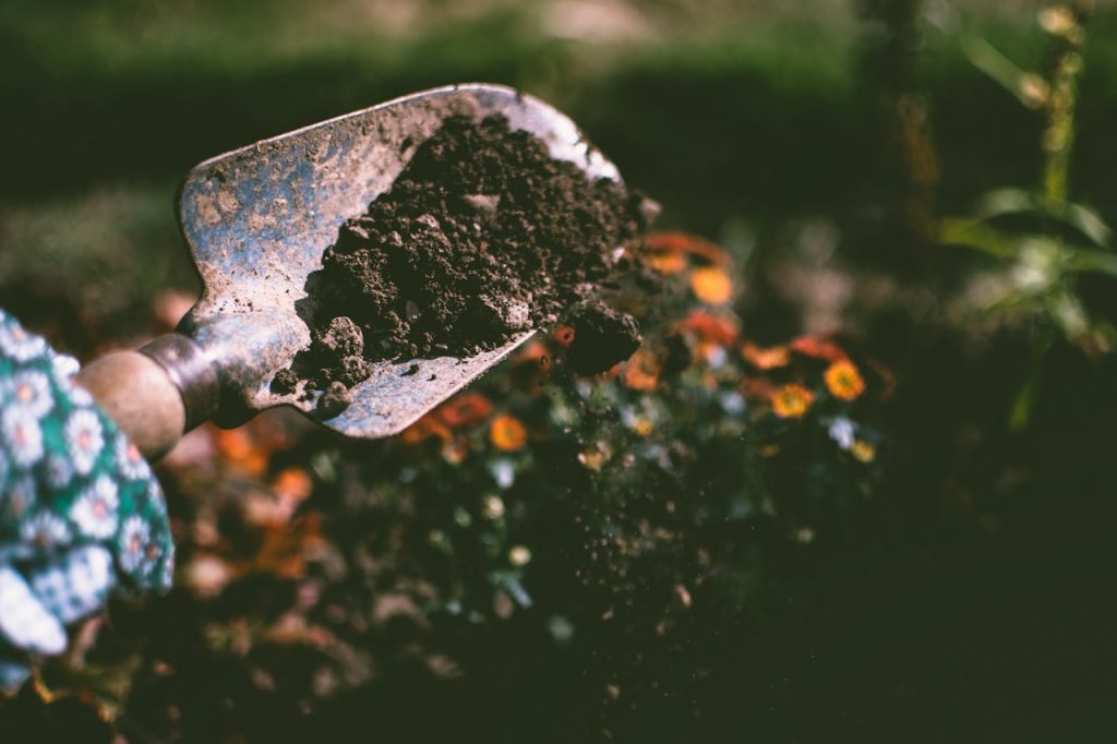 Plantation au jardin, bêche en main